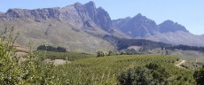 fruit farms