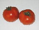 sun dried tomatoes